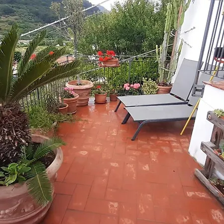Elci Apartamento